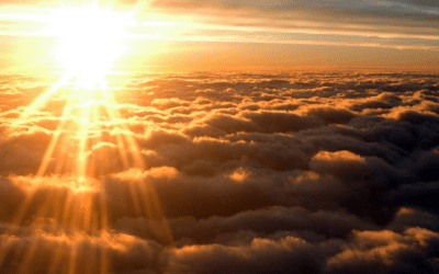 Twilight Flight