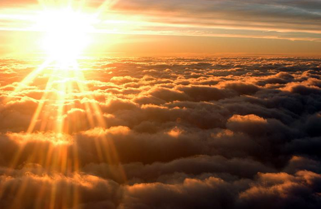 Twilight Flight